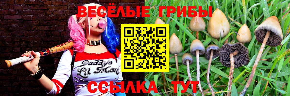 Солнечногорск  Псилоцибиновые грибы ЛСД  цены наркотик  Вход с VPN  Галлюциногенные грибы Magic Shrooms 